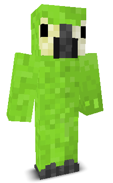 User's Minecraft appearance