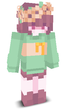 User's Minecraft appearance