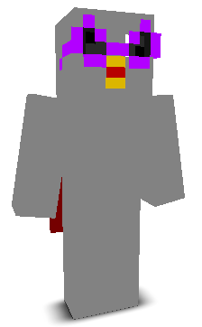 User's Minecraft appearance