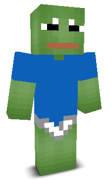 User's Minecraft appearance