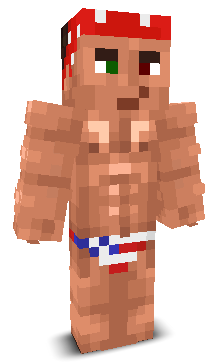 User's Minecraft appearance
