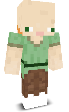 User's Minecraft appearance
