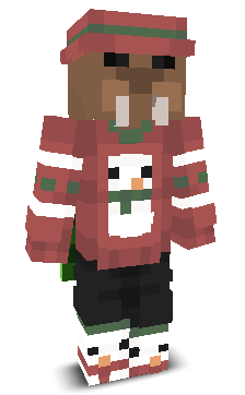 User's Minecraft appearance