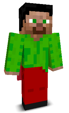 User's Minecraft appearance