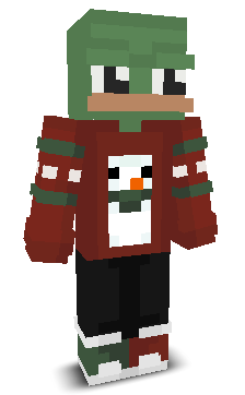User's Minecraft appearance