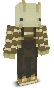 User's Minecraft appearance