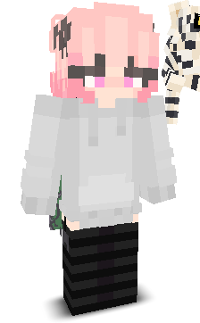 User's Minecraft appearance