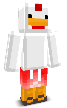 User's Minecraft appearance