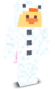 User's Minecraft appearance