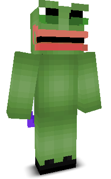User's Minecraft appearance