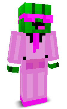 User's Minecraft appearance
