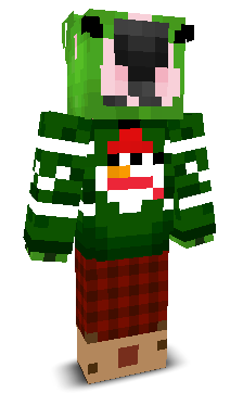 User's Minecraft appearance