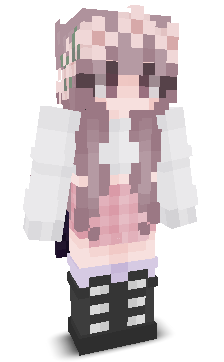 User's Minecraft appearance
