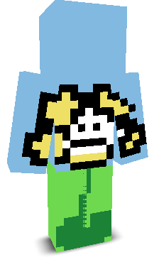 User's Minecraft appearance