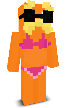 User's Minecraft appearance