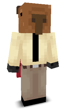 User's Minecraft appearance
