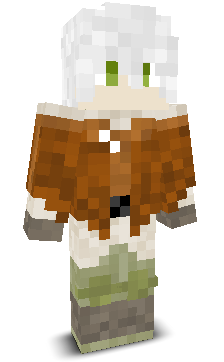 User's Minecraft appearance