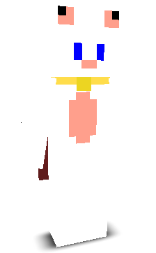 User's Minecraft appearance