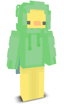 User's Minecraft appearance