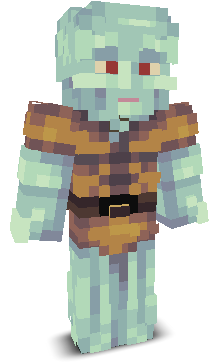 User's Minecraft appearance