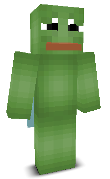 User's Minecraft appearance
