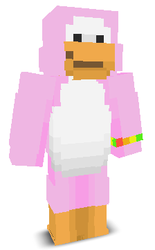 User's Minecraft appearance