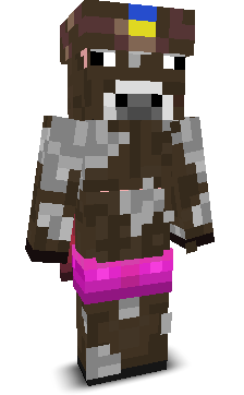 User's Minecraft appearance