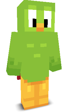 User's Minecraft appearance