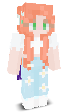 User's Minecraft appearance