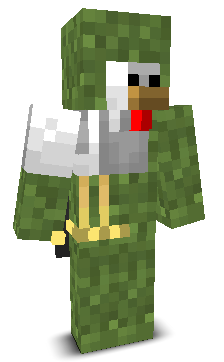 User's Minecraft appearance