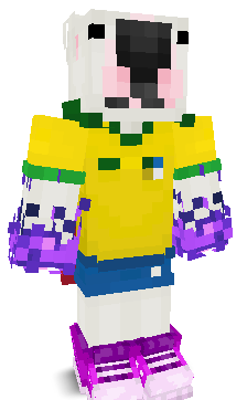 User's Minecraft appearance