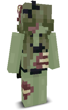 User's Minecraft appearance