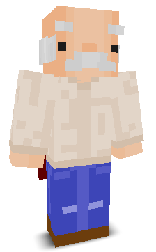 User's Minecraft appearance
