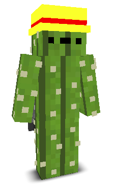 User's Minecraft appearance