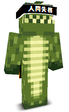 User's Minecraft appearance