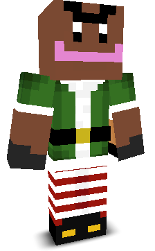 User's Minecraft appearance