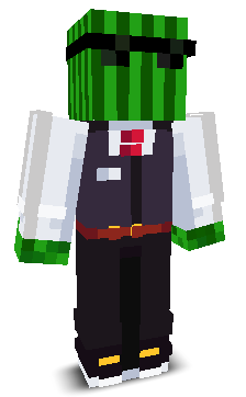 User's Minecraft appearance