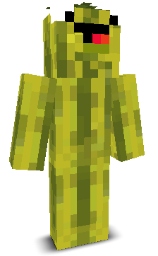 User's Minecraft appearance
