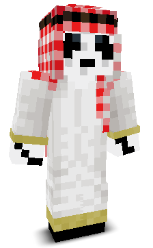 User's Minecraft appearance