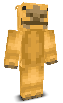 User's Minecraft appearance