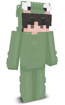 User's Minecraft appearance