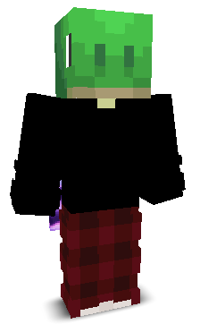 User's Minecraft appearance
