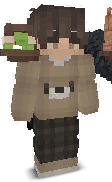 User's Minecraft appearance