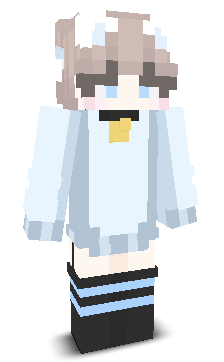 User's Minecraft appearance