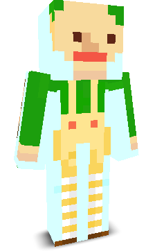 User's Minecraft appearance