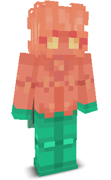 User's Minecraft appearance