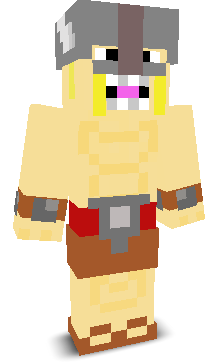 User's Minecraft appearance