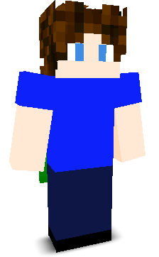 User's Minecraft appearance