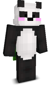 User's Minecraft appearance