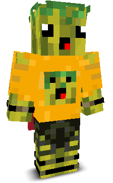 User's Minecraft appearance
